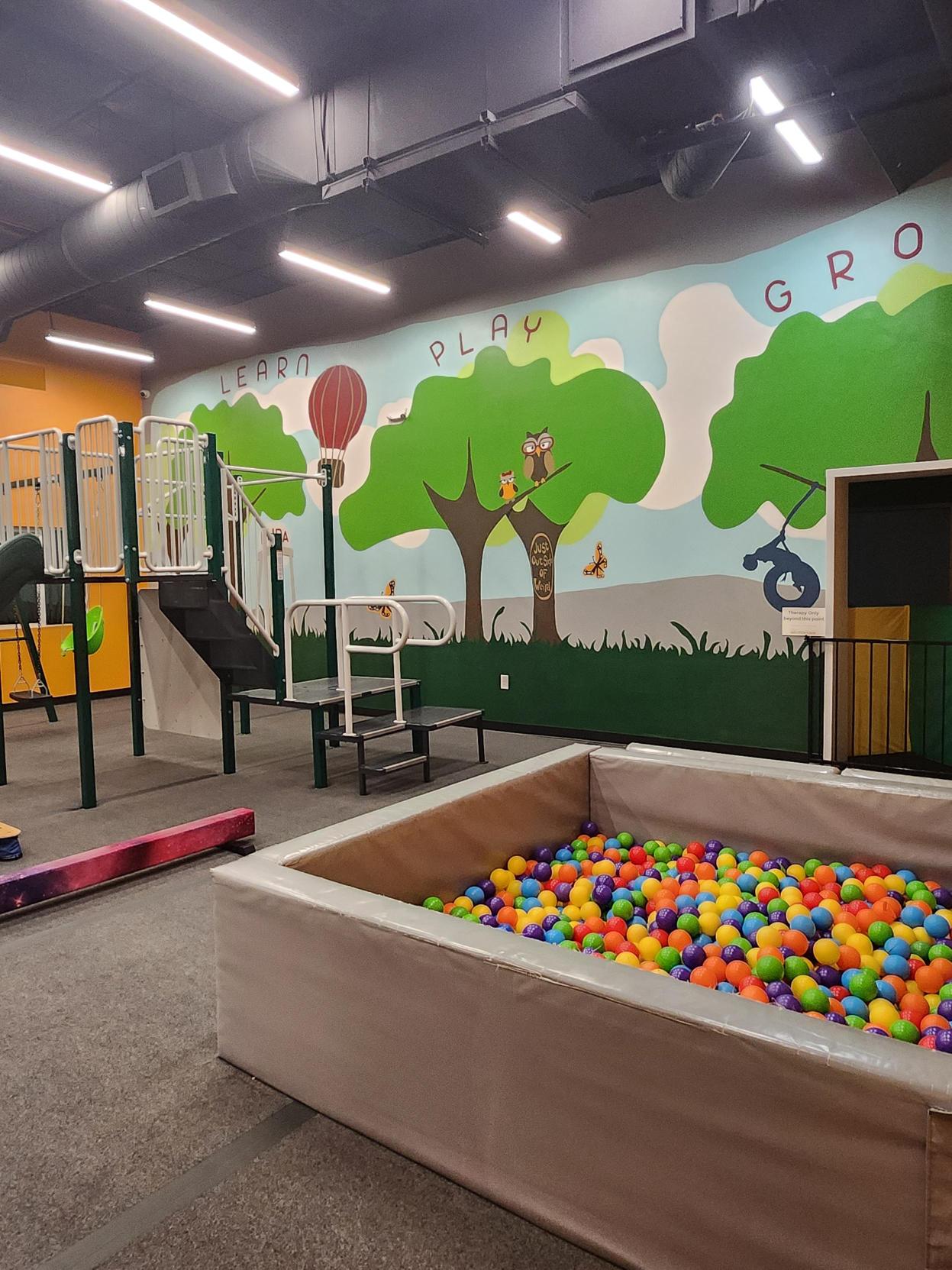 Rainbow ball pit in front of the 'Learn Play Grow' mural at Little Land Buda